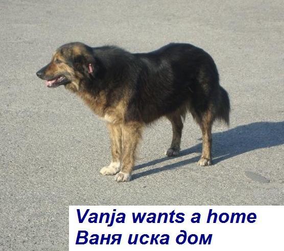 Vanja_Dom